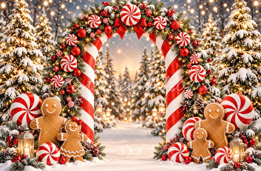 Kate Christmas Candy Cane Arch Gingerbread Snowy Forest Printed Backdrop Designed by Emetselch
