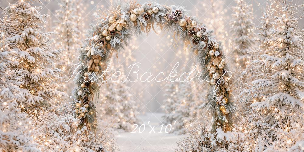 TEST Kate Christmas Flower Arch Snowy Trees Lights Printed Backdrop Designed by Emetselch