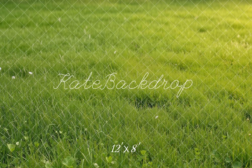 Kate Summer Green Grass Field Printed Backdrop Designed by Emetselch