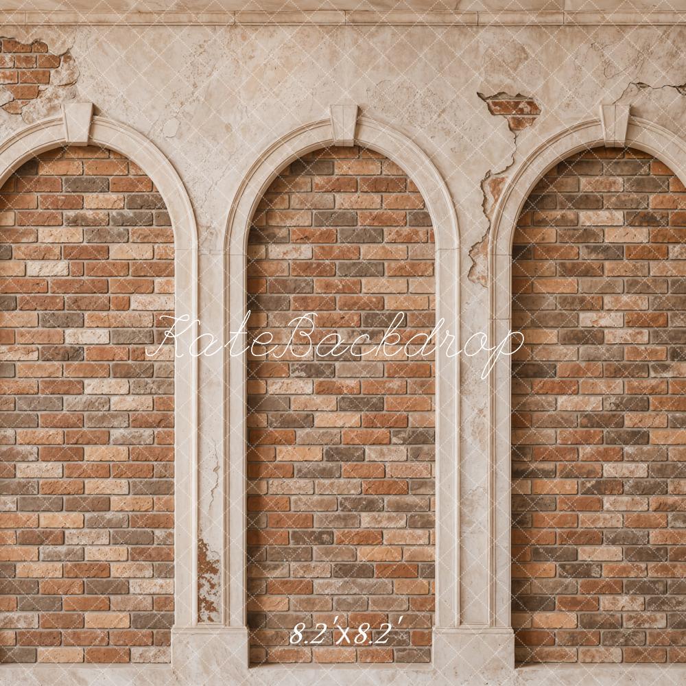TEST Kate Vintage Brick Arched Wall Printed Backdrop Designed by Emetselch