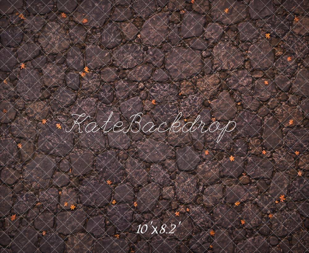 Kate Fall Dark Gray Cobblestone Fallen Leaves Floor Printed Backdrop Designed by Kate Image