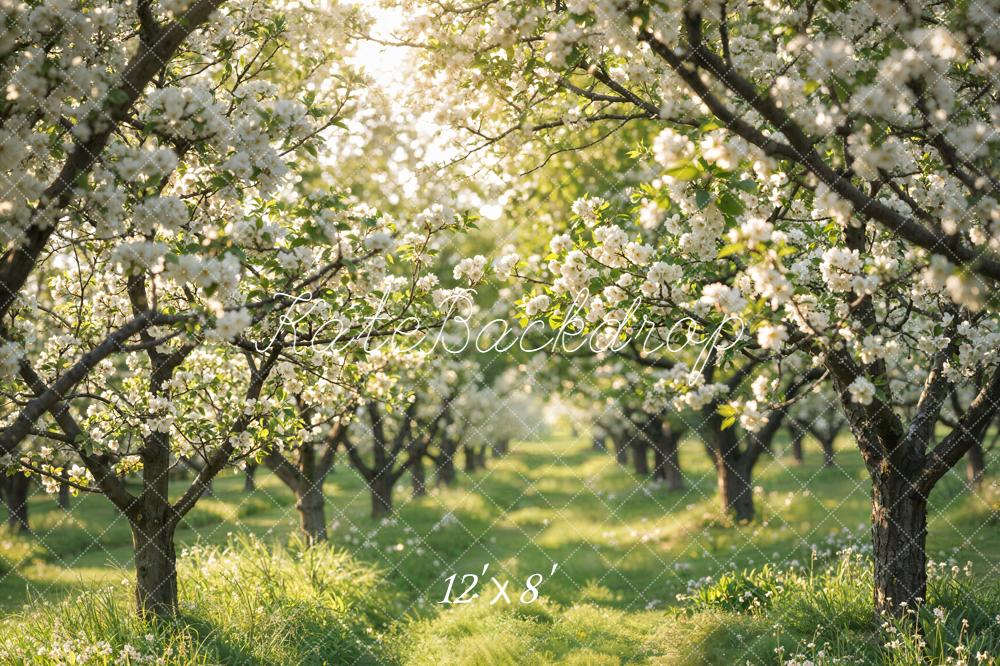 Kate Spring Blossom Orchard Pathway Backdrop Designed by Emetselch