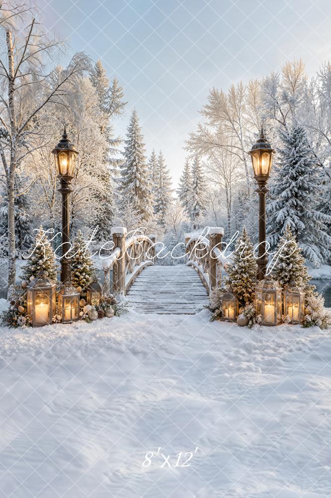 Kate Winter Bridge Path Snowy Lantern Forest Printed Backdrop Designed by Emetselch