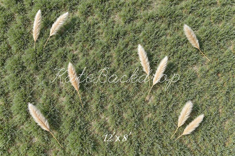 Kate Green Grass Pampas Grass Floor Printed Backdrop Designed by Mini MakeBelieve