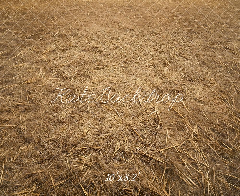 Fondo de piso de campo de heno rústico diseñado por Mini MakeBelieve