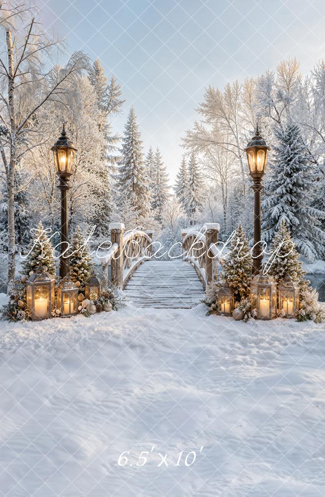 Kate Winter Bridge Path Snowy Lantern Forest Printed Backdrop Designed by Emetselch