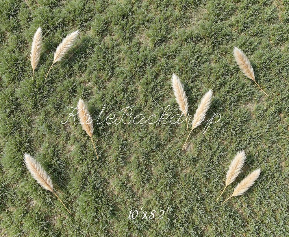 Kate Green Grass Pampas Grass Floor Printed Backdrop Designed by Mini MakeBelieve