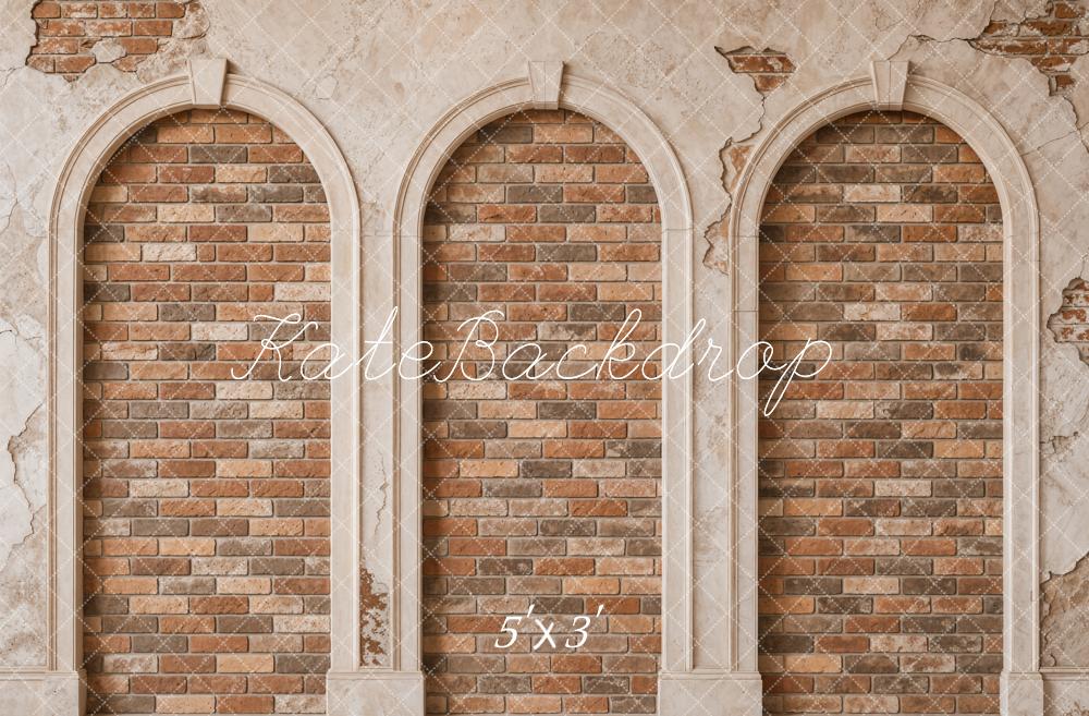TEST Kate Vintage Brick Arched Wall Printed Backdrop Designed by Emetselch