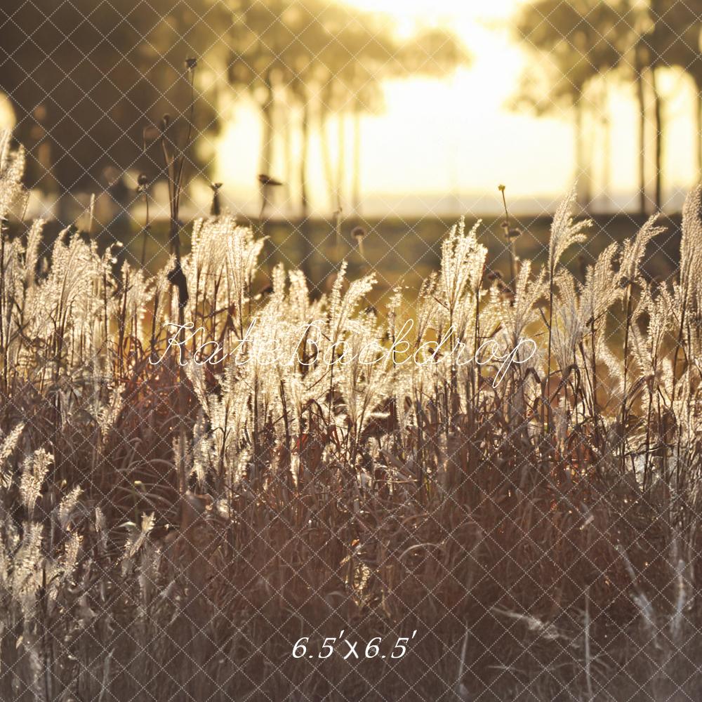 Kate Boho Outdoor Golden Sunset Field Backdrop Designed by Mandy Ringe Photography