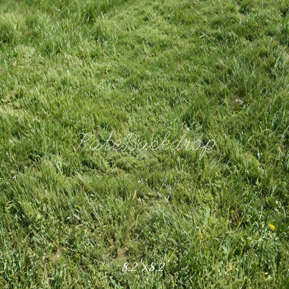 Kate Green Grass Field Printed Backdrop Designed by Kate Image