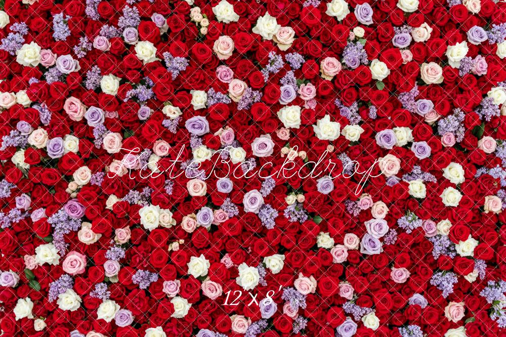 Kate Valentine's Day Red Pink Purple White Rose Flower Wall Backdrop Designed by Patty Roberts