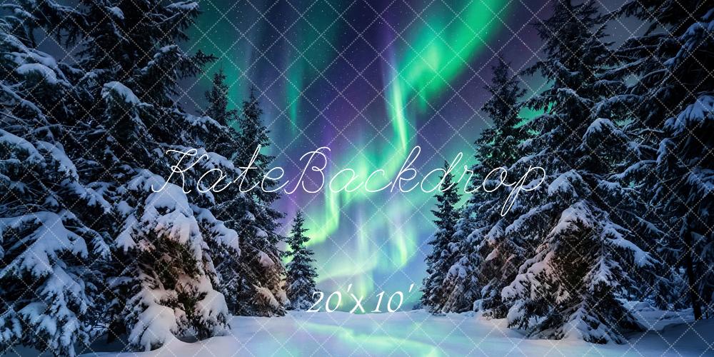 Kate Winter Aurora Borealis Snowy Pine Trees Printed Backdrop Designed by Happy Squirrel Design