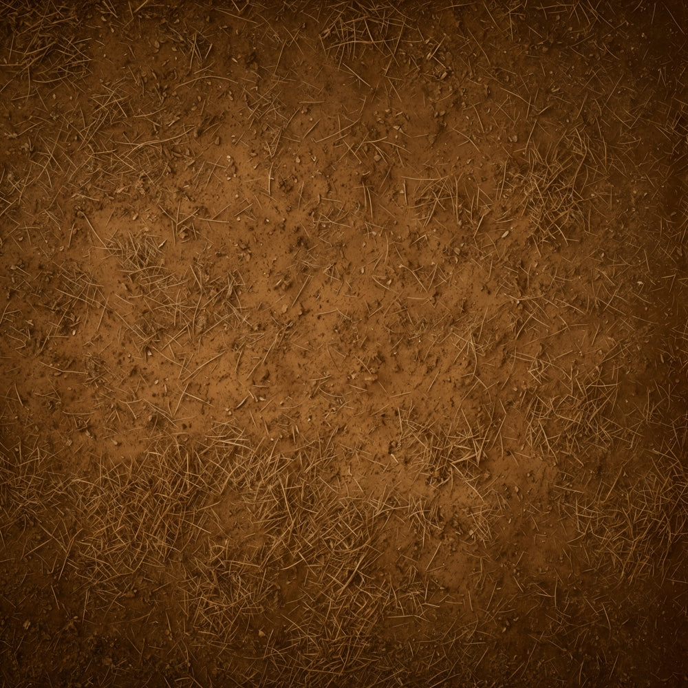 Kate Abstract Brown Dirt Ground Texture Floor Backdrop Designed by Emetselch