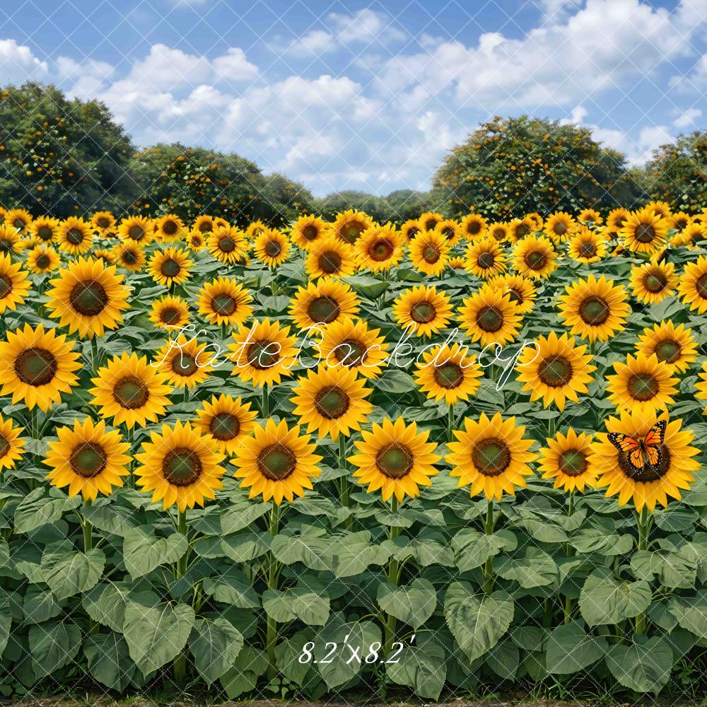 Kate Fall Sunflower Field Sky Printed Backdrop Designed by Mini MakeBelieve
