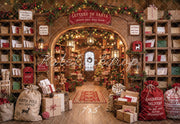 Kate Christmas Mail Room Letters to Santa Workshop Printed Backdrop Designed by Emetselch