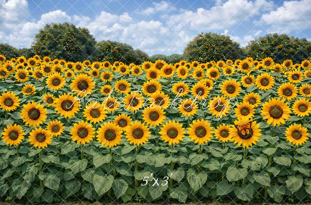 Kate Fall Sunflower Field Sky Printed Backdrop Designed by Mini MakeBelieve