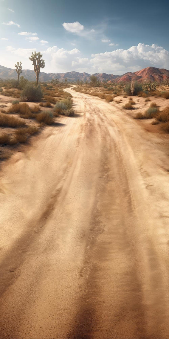 Kate Sweep Desert Road Backdrop Designed by Mandy Ringe Photography