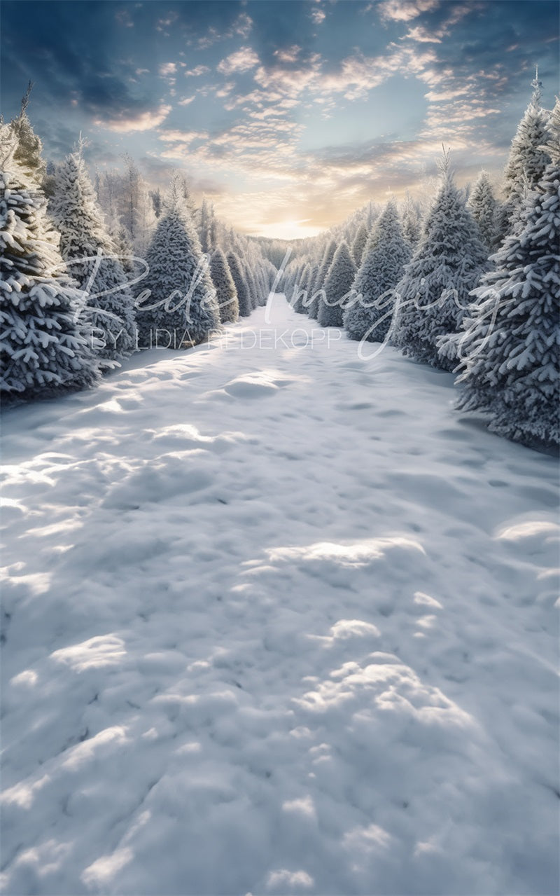 Kate Sweep Winter Frosty Forest Backdrop Designed by Lidia Redekopp