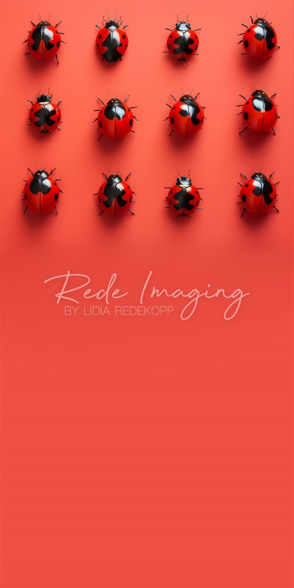 Kate Sweep Nature Red Ladybugs Backdrop Designed by Lidia Redekopp