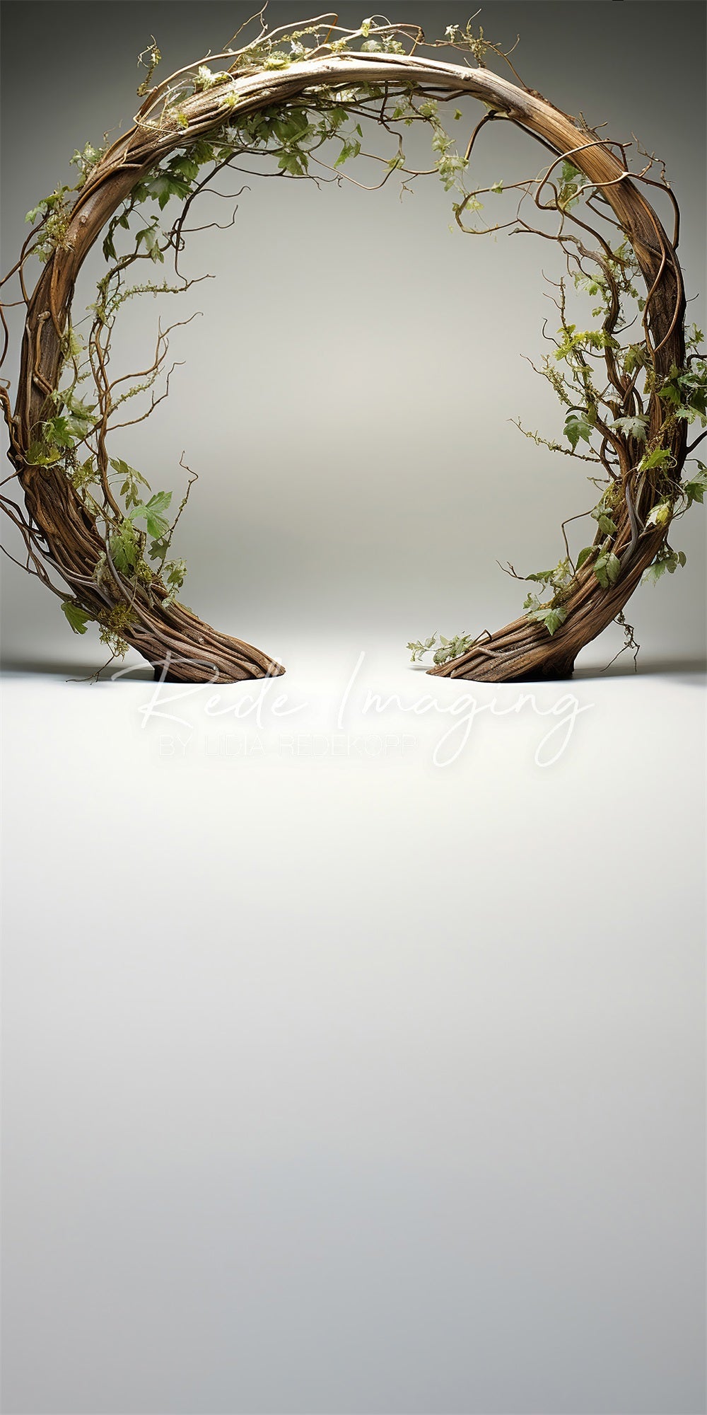 Kate Sweep Spring Brown Twisted Branch Arch Backdrop Designed by Lidia Redekopp