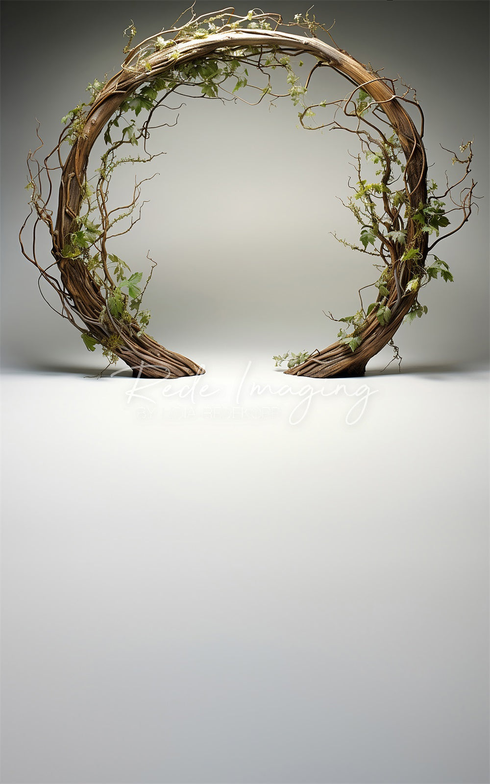 Kate Sweep Spring Brown Twisted Branch Arch Backdrop Designed by Lidia Redekopp