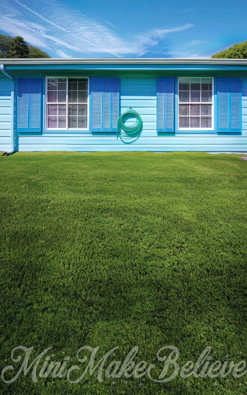 Kate Sweep Summer Green Meadow Blue House Backdrop Designed by Mini MakeBelieve