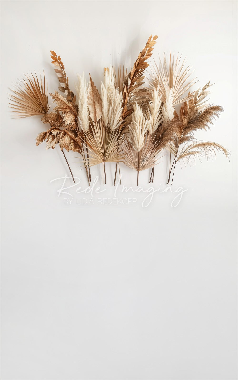 Kate Sweep Boho Brown Reed Leaf White Wall Backdrop Designed by Lidia Redekopp