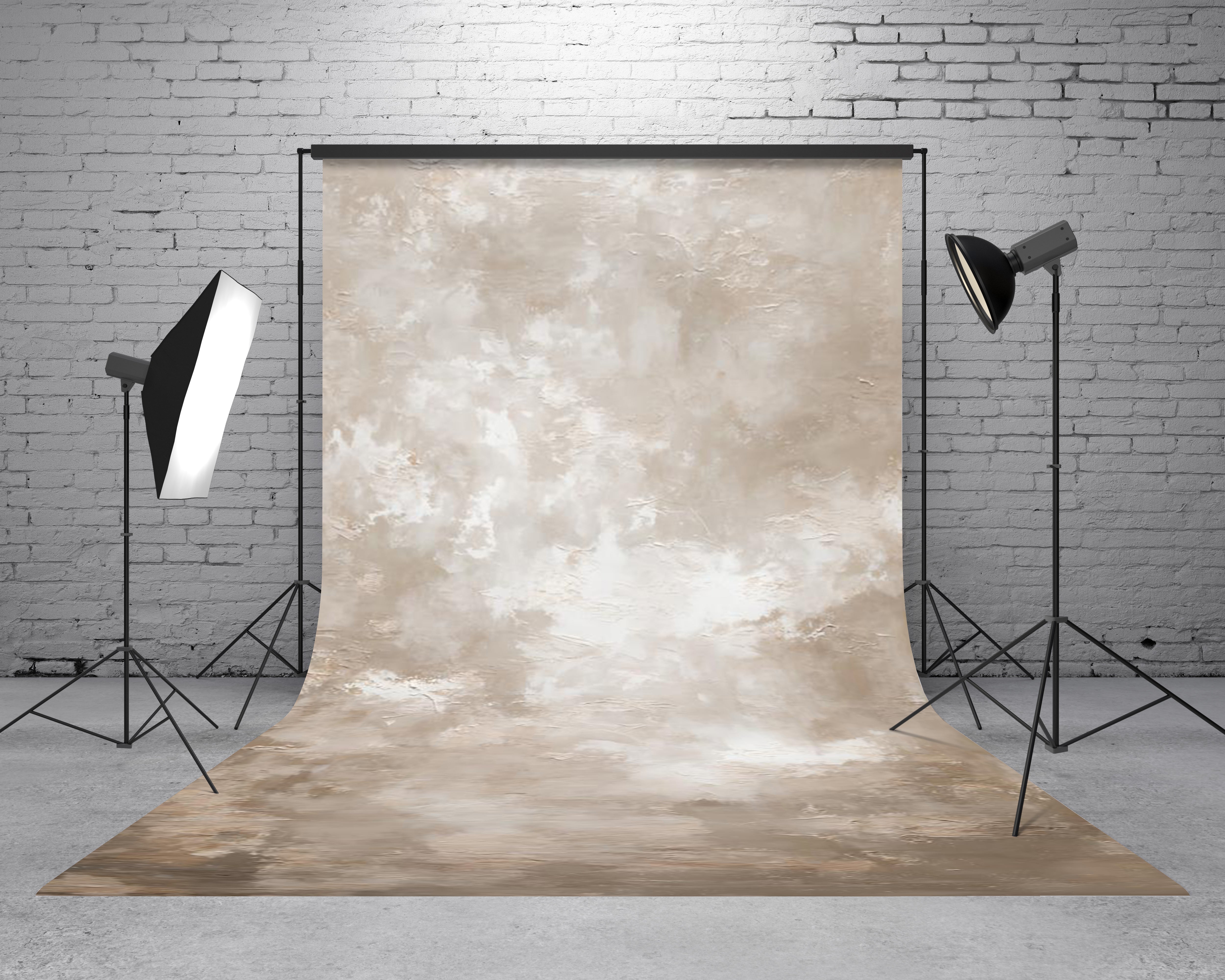 SALE Kate Sweep Beige Abstract Texture Backdrop Designed by GQ