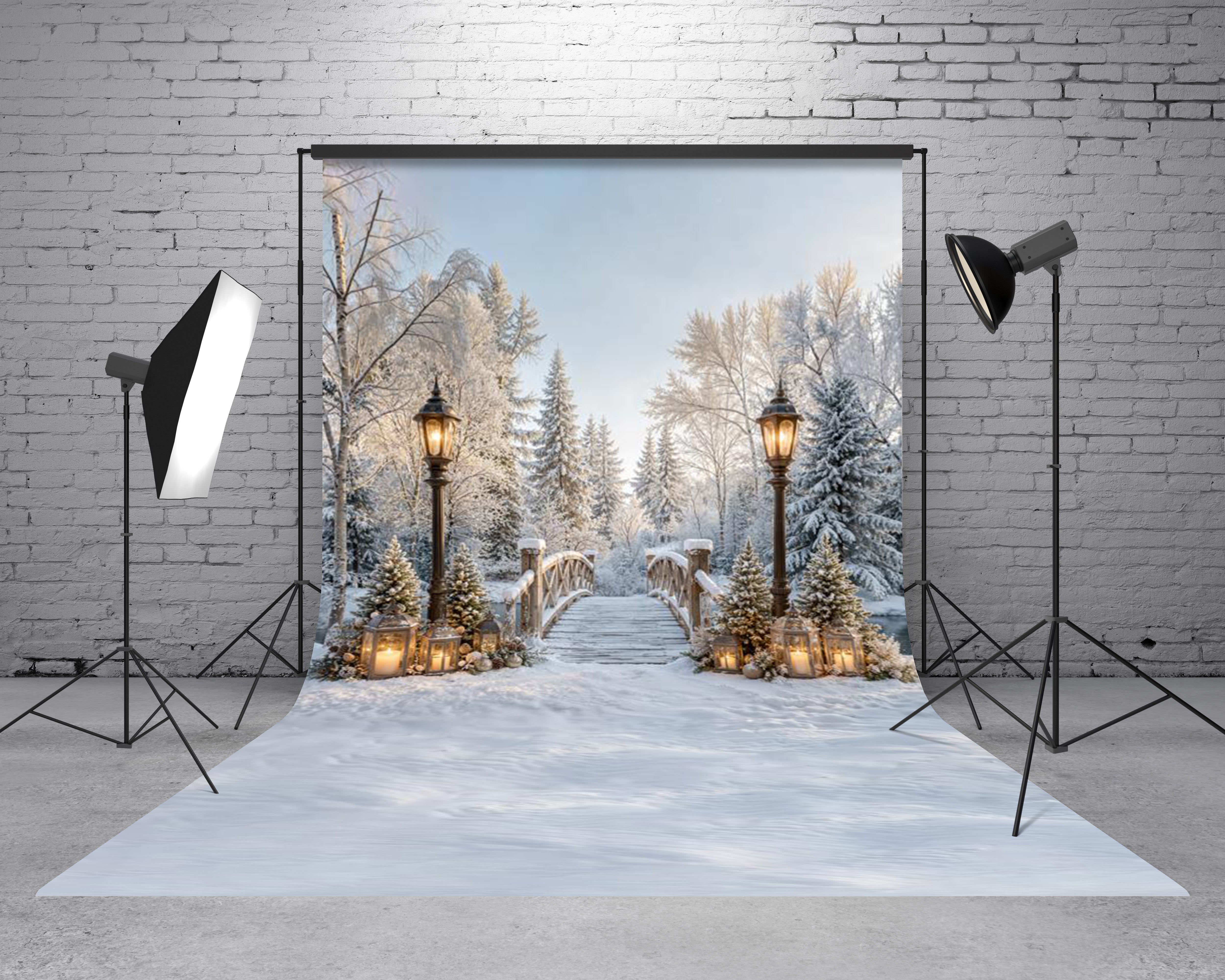 Kate Sweep Winter Bridge Snow Lantern Pine Trees Printed Backdrop Designed by Emetselch