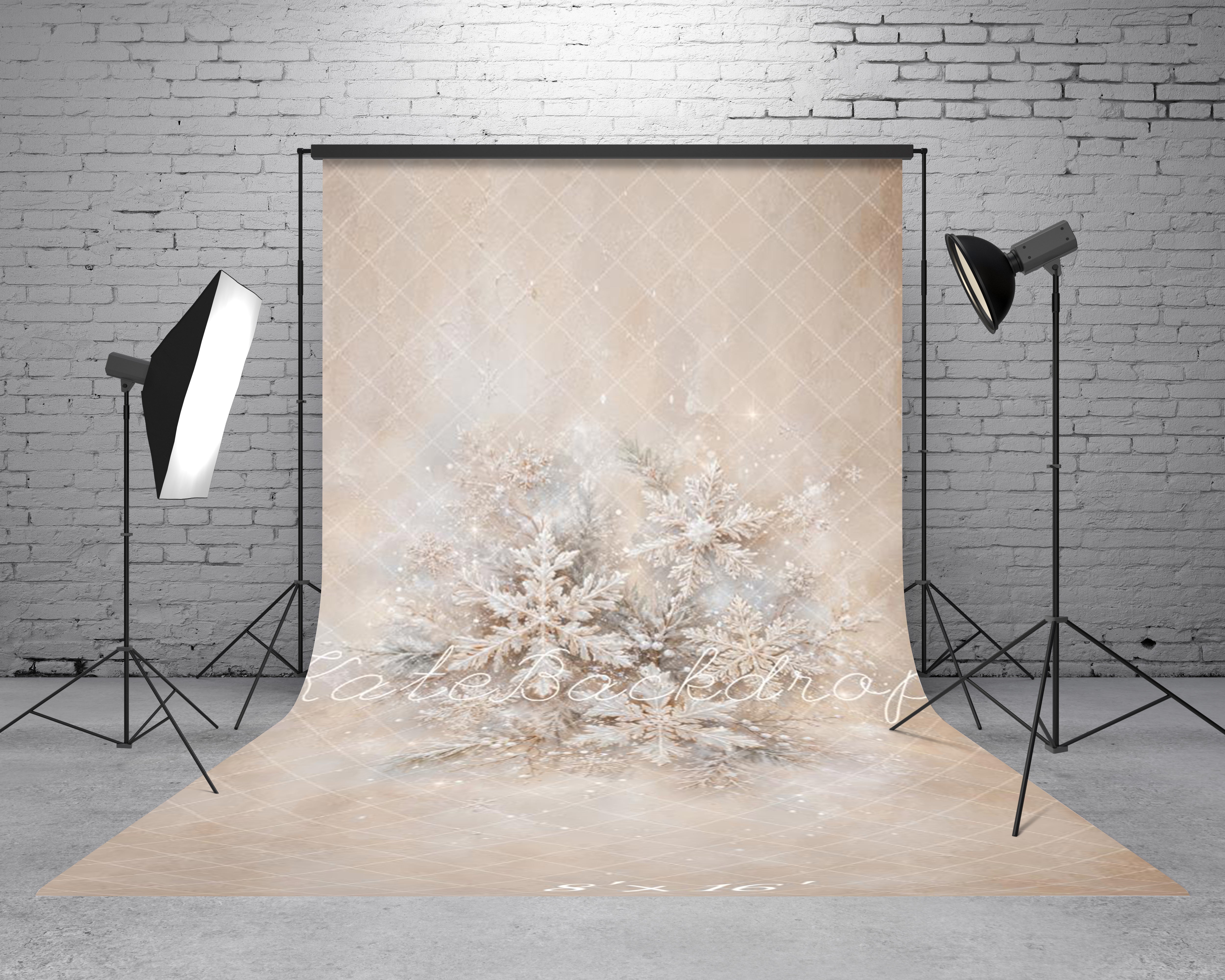 Kate Sweep Christmas Neutral Snowflakes Pine Branches Fine Art Printed Backdrop Designed by GQ