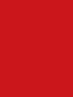 Kate Solid Venetian Red Matte UV Vinyl Backdrop