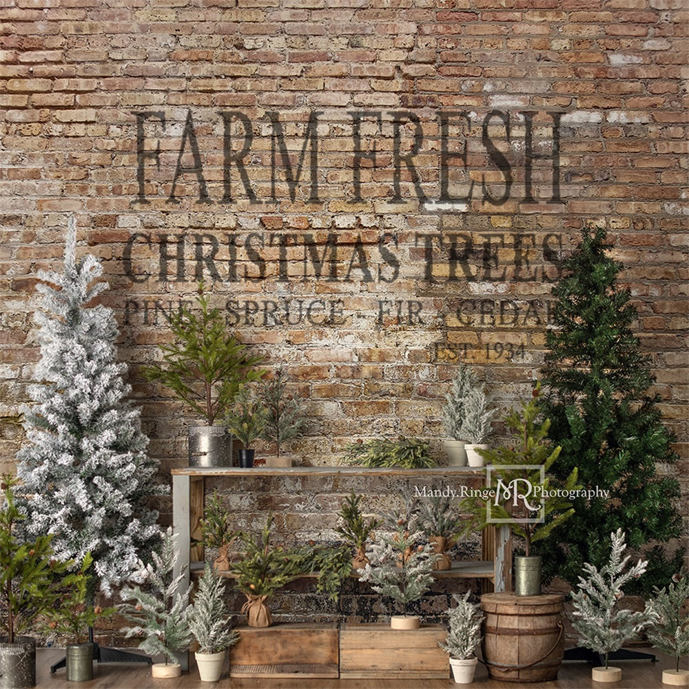 RTS Kate Christmas Farm Fresh Tree Backdrop Designed by Mandy Ringe Photography