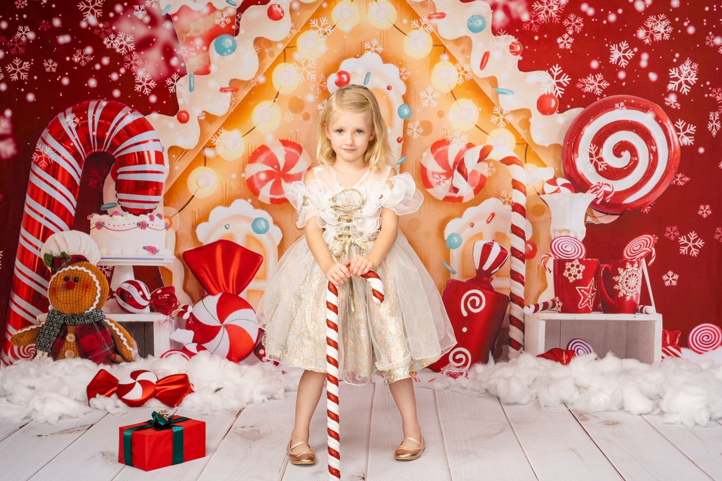 RTS Kate Christmas Backdrop Gingerbread House Candy for Photography