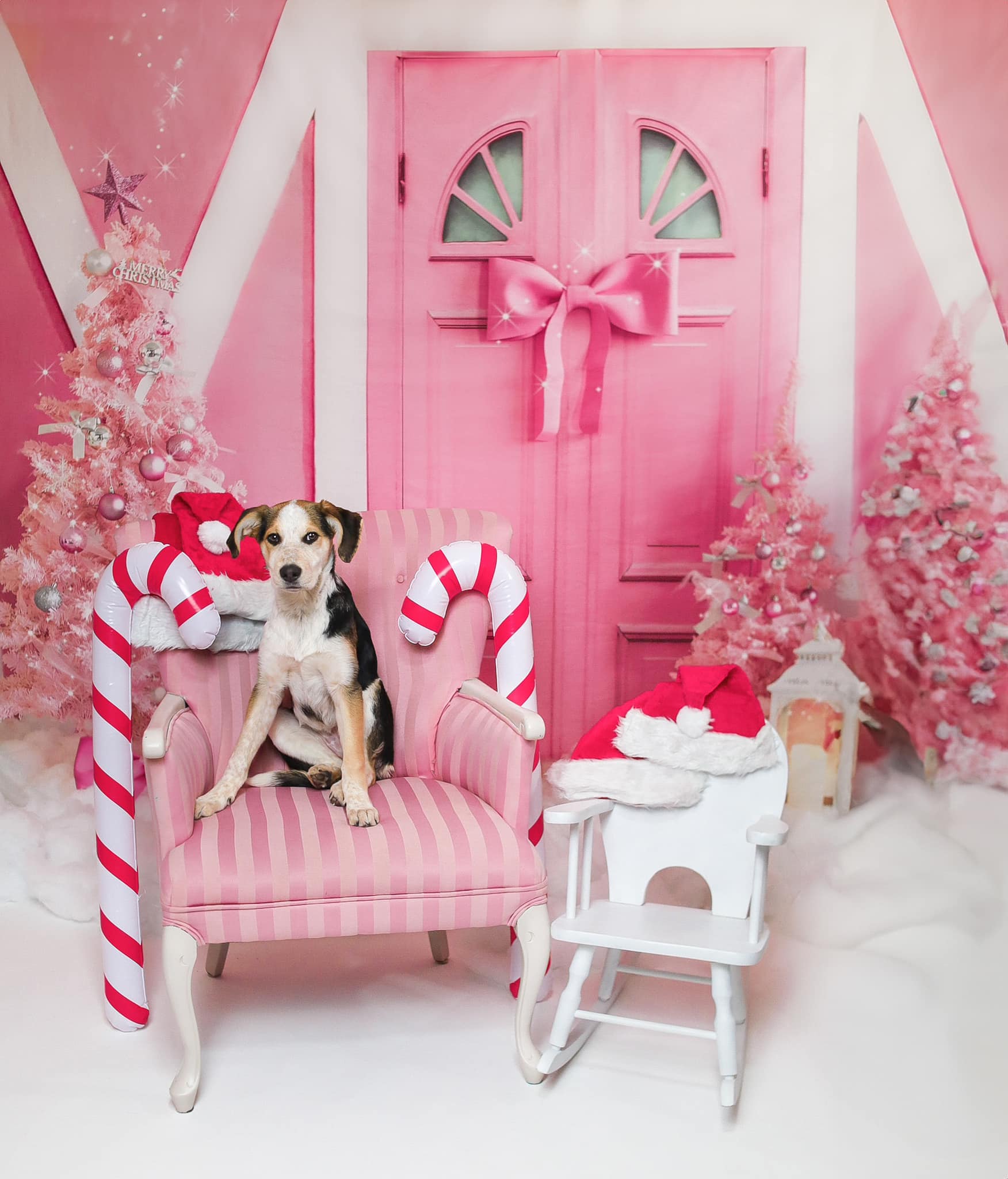 Kate Pink Christmas Backdrop Princess Barn Designed by Emetselch