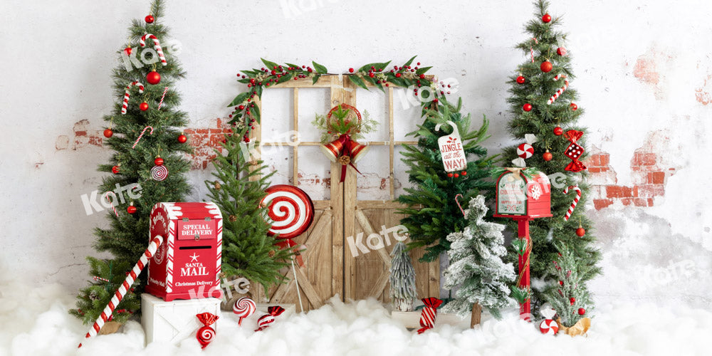Kate Christmas Backdrop Mailbox Snow Designed by Emetselch Fabric Backdrops Christine10