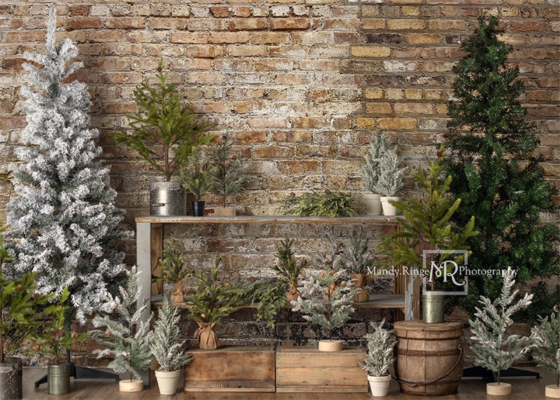 Kate Simple Christmas Tree Stand Backdrop Designed by Mandy Ringe Photography (only ship to Canada)