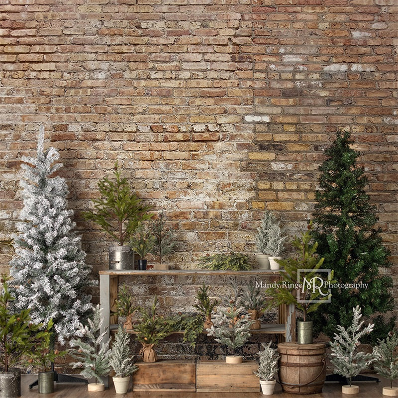RTS Kate Simple Christmas Tree Stand Backdrop Designed by Mandy Ringe Photography