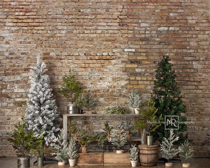 RTS Kate Simple Christmas Tree Stand Backdrop Designed by Mandy Ringe Photography
