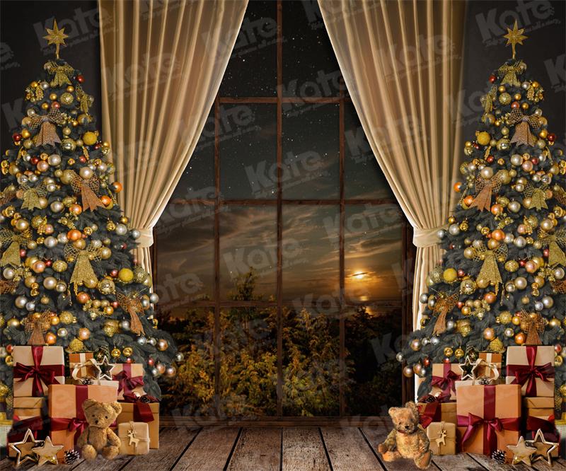 RTS Kate Warm Christmas Backdrop Window for Photography