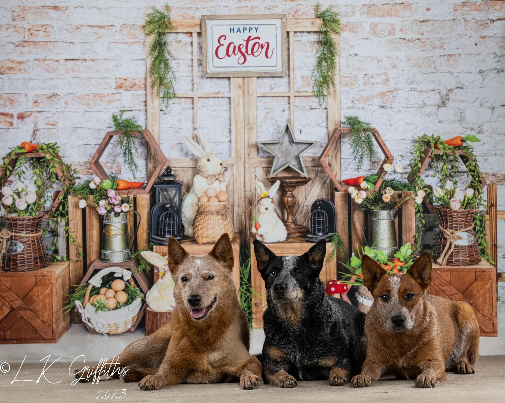 Paashaas Bakstenen Muur Achtergrond voor Fotografie