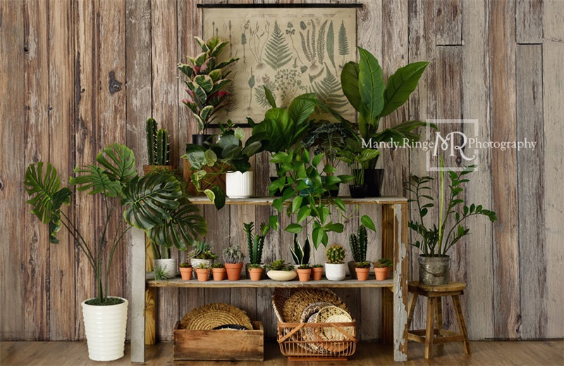 RTS Kate Rustic Plant Shop Summer Backdrop Designed by Mandy Ringe Photography