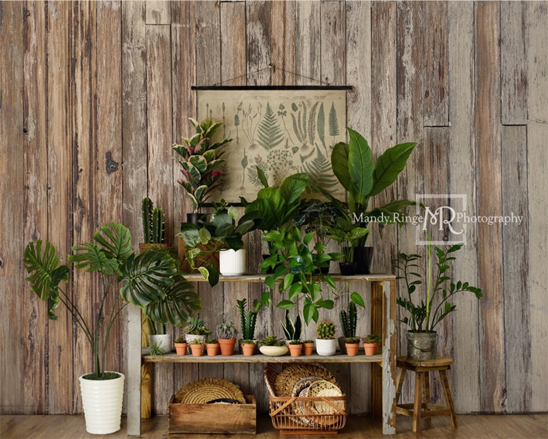 RTS Kate Rustic Plant Shop Summer Backdrop Designed by Mandy Ringe Photography