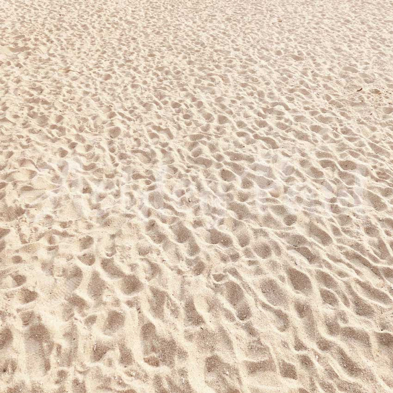 Soft Sunlit Sand Textured Backdrop