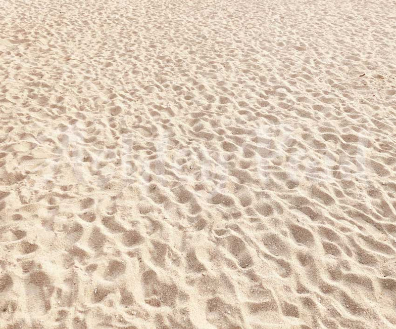 Soft Sunlit Sand Textured Backdrop