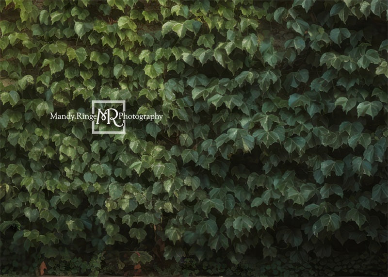 Kate Climbing Ivy Wall Plant Summer Backdrop Designed by Mandy Ringe Photography