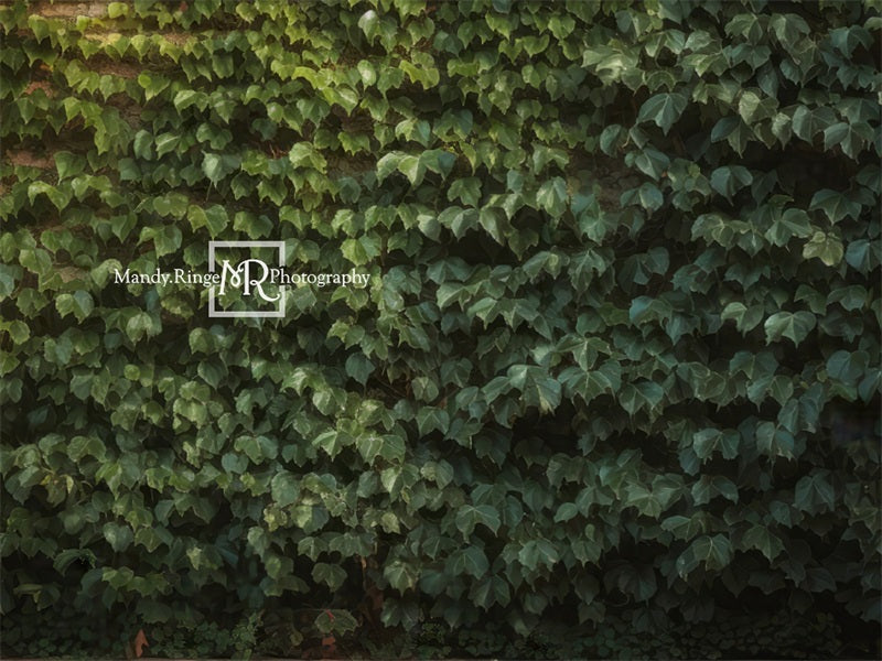 Kate Climbing Ivy Wall Plant Summer Backdrop Designed by Mandy Ringe Photography