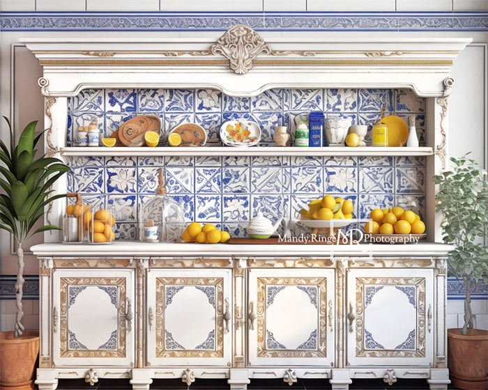Rustic Blue Tile Vintage Kitchen Backdrop
