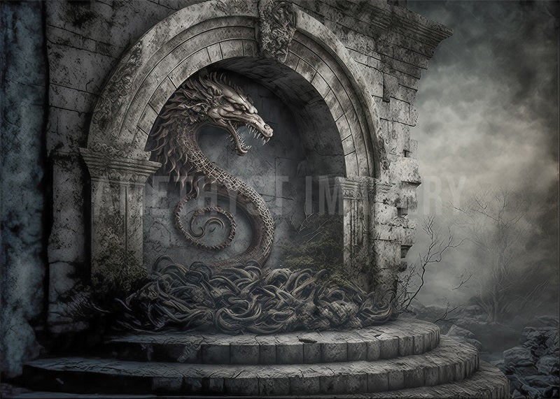 Kate Gray Dragon Stone Fantasy Wall Backdrop Designed by Angela Miller
