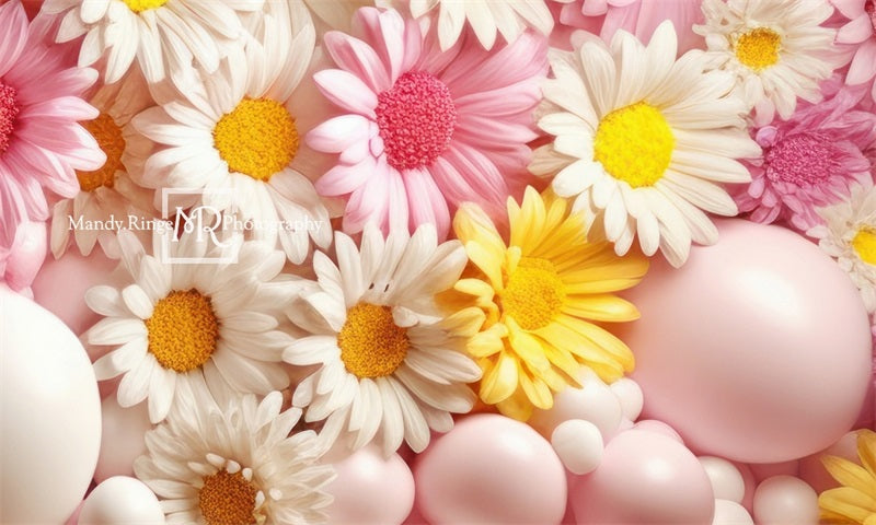 Kate Pink Yellow White Balloon Wall with Daisies Backdrop Designed by Mandy Ringe Photography