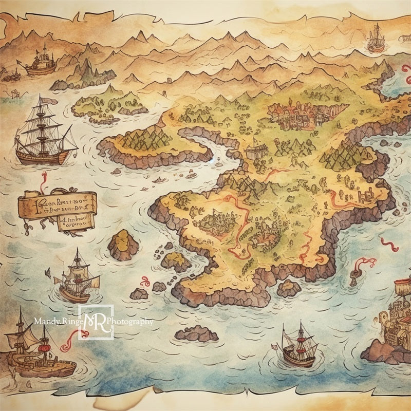 Kate Pirate Treasure Map Backdrop Designed by Mandy Ringe Photography